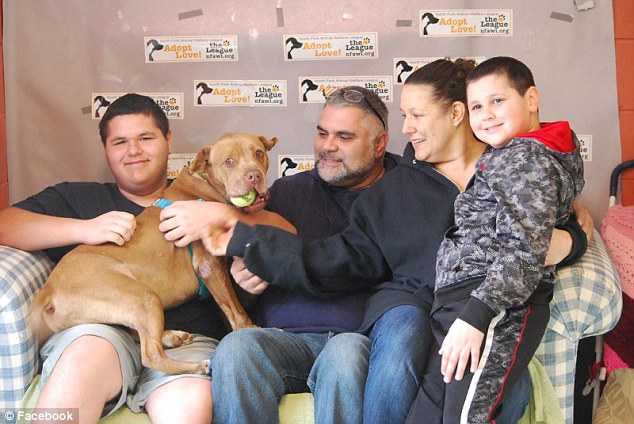 Welcome to the family: On Friday morning, Dana Dor, her husband Adi, and their boys, Aidan and Brandon, headed from their Lake Ronkonkoma home to meet Chester