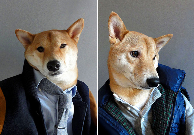 Menswear Dog Is More Stylish Than You