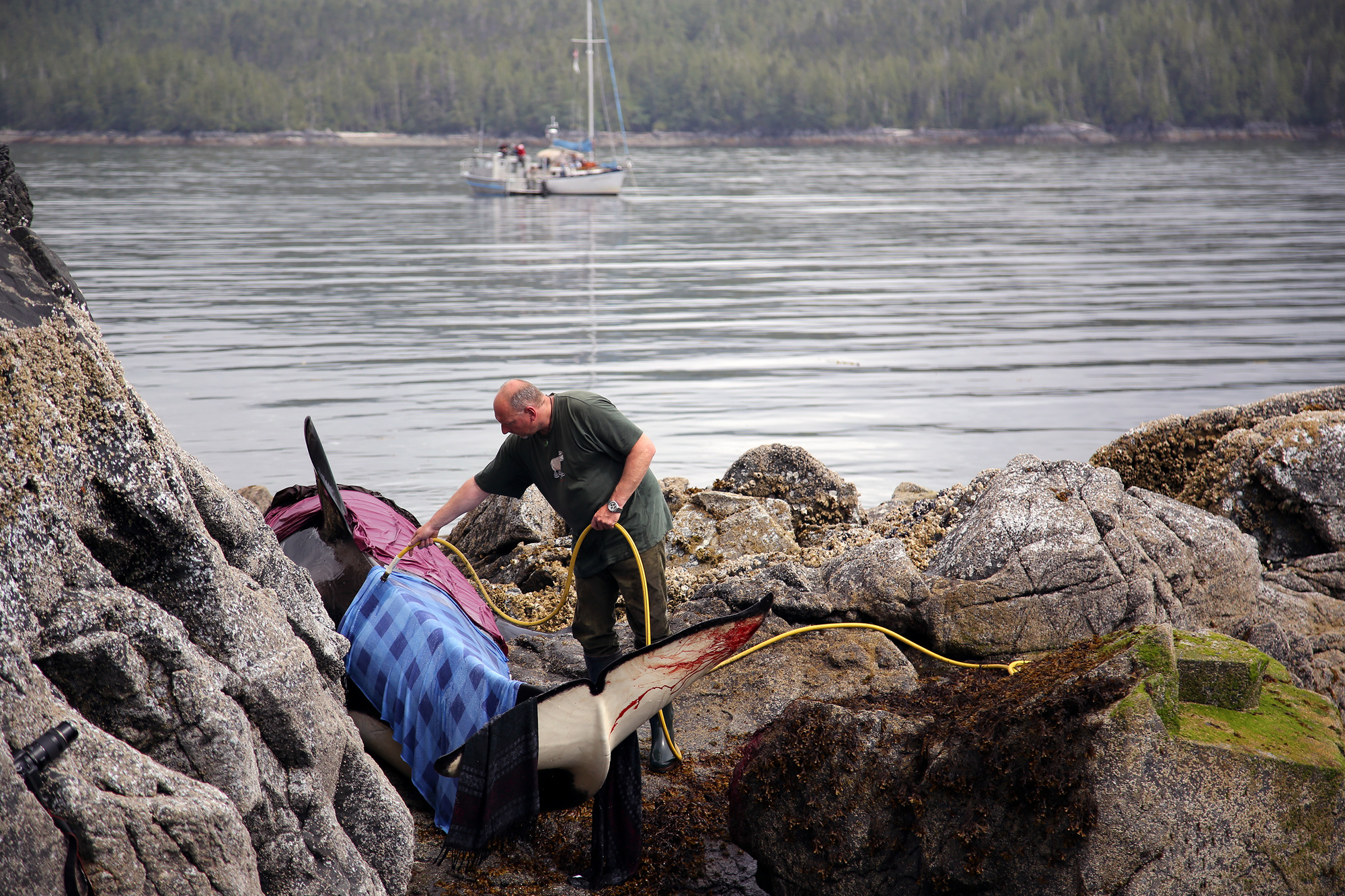 So, the rescue team formed a plan and got to worked. 