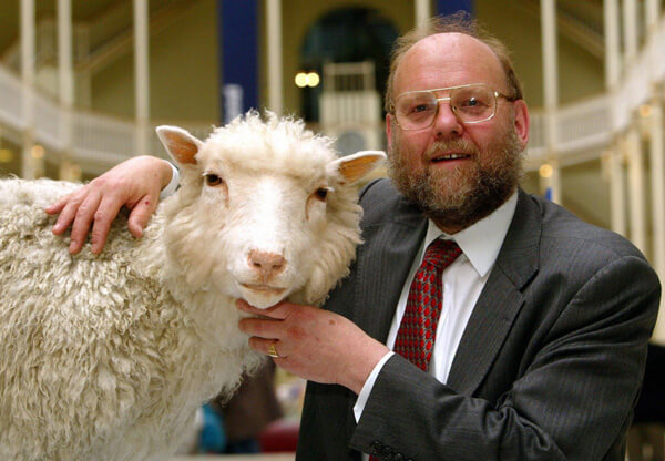 A Cloned Sheep Is Dolly’s Namesake