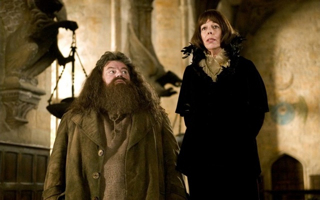 Madame Maxime is the headmistress of Beauxbatons Academy in the Harry Potter franchise