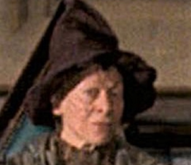 Wilhelmina Grubbly-Plank was the substitute Care of Magical Creatures teacher at Hogwarts 