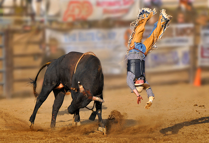 Check Out These Perfectly Timed Sports Photos