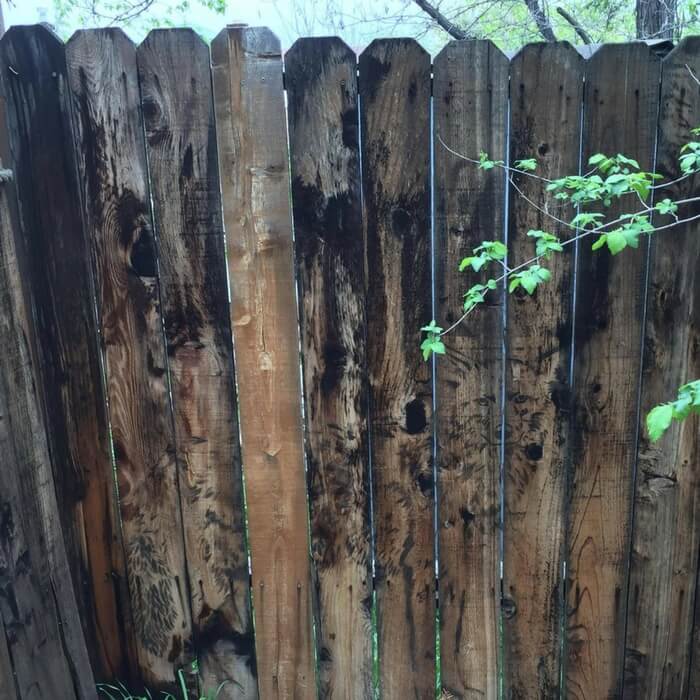 Fence Like A Wolf.jpg