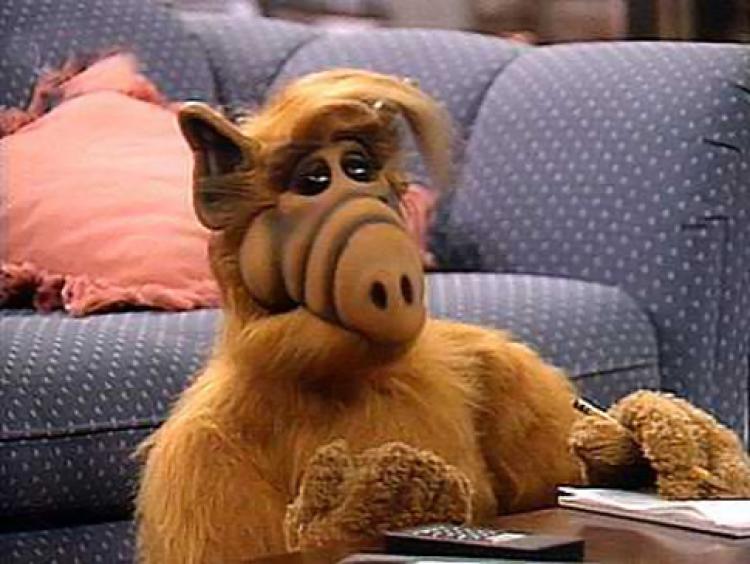 Image result for alf tv show