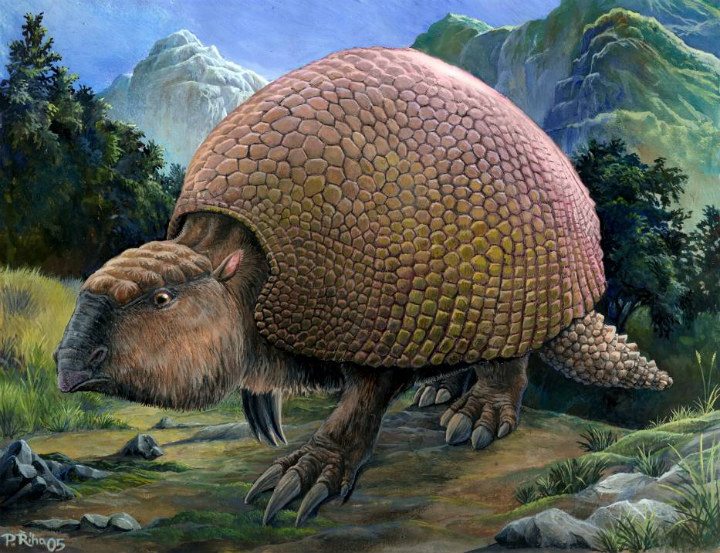 Glyptodont extinct animal