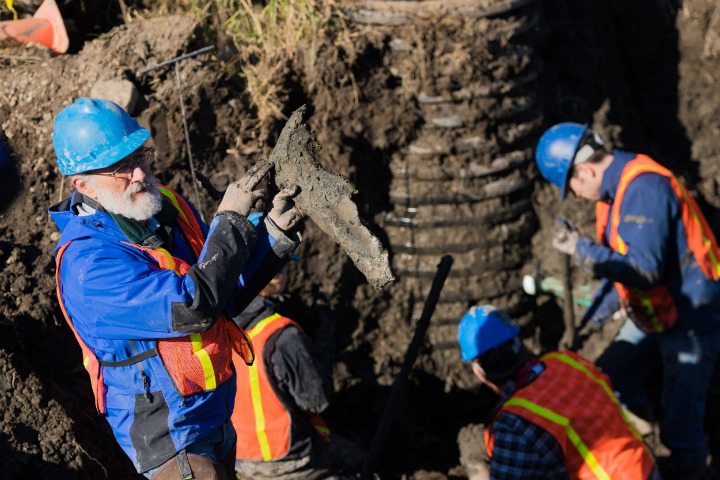 Farmer's mysterious discovery - Bristle mammoth