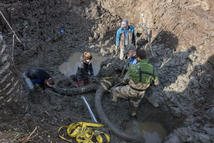 Farmer's mysterious discovery - Michigan