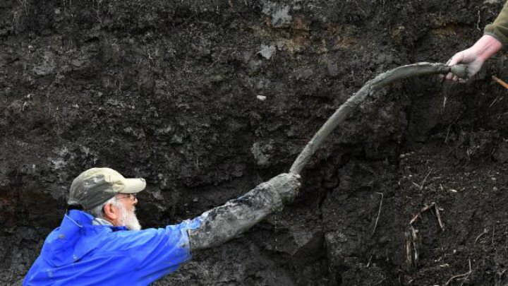 Farmer's mysterious discovery - Michigan