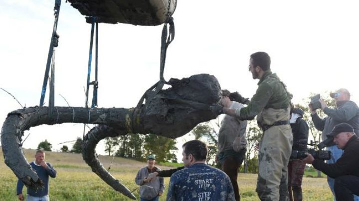 Farmer's mysterious discovery - Michigan mammoth