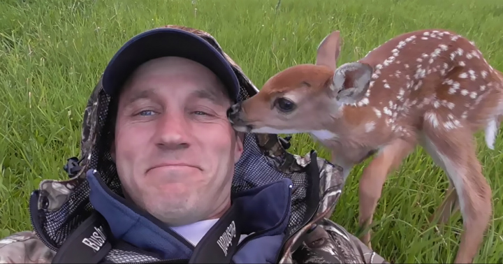 Abandoned Fawn - Moose