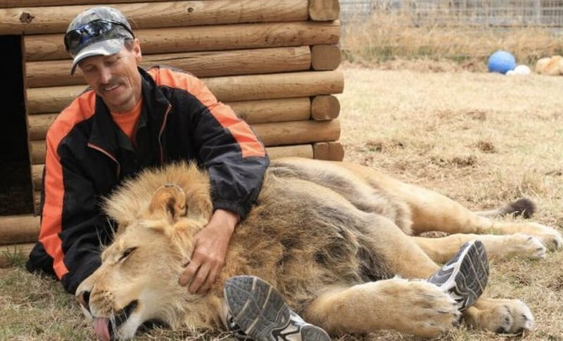 Image result for cuddling with a lion