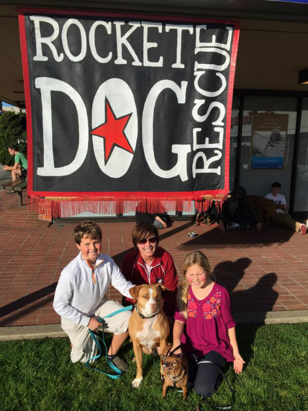 Rocket Dog Rescue Find Merrill and Taco a Home - Pit Bull Rescue Story