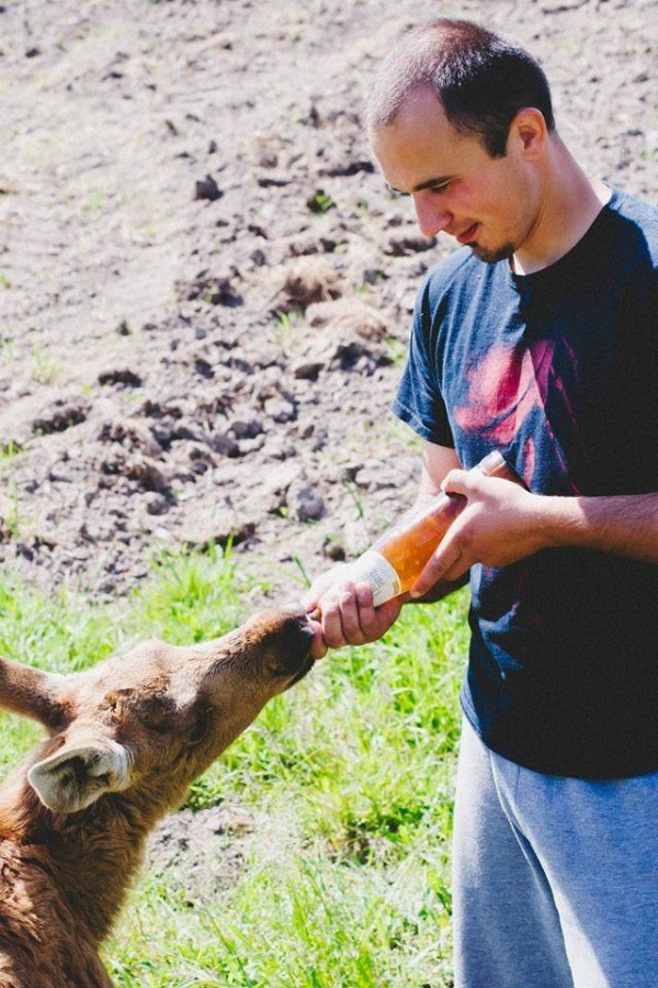 Plucas Feeding Emma the Moose