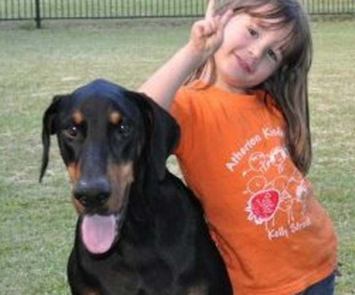 Image result for doberman saves baby from snake