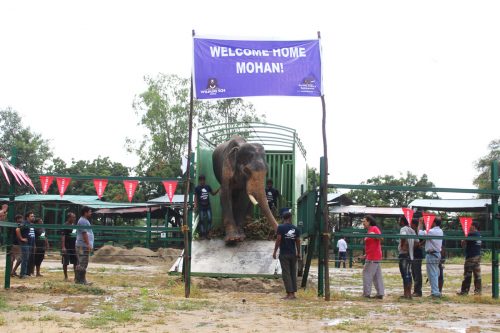 Mohan after rescue coming out of the truck