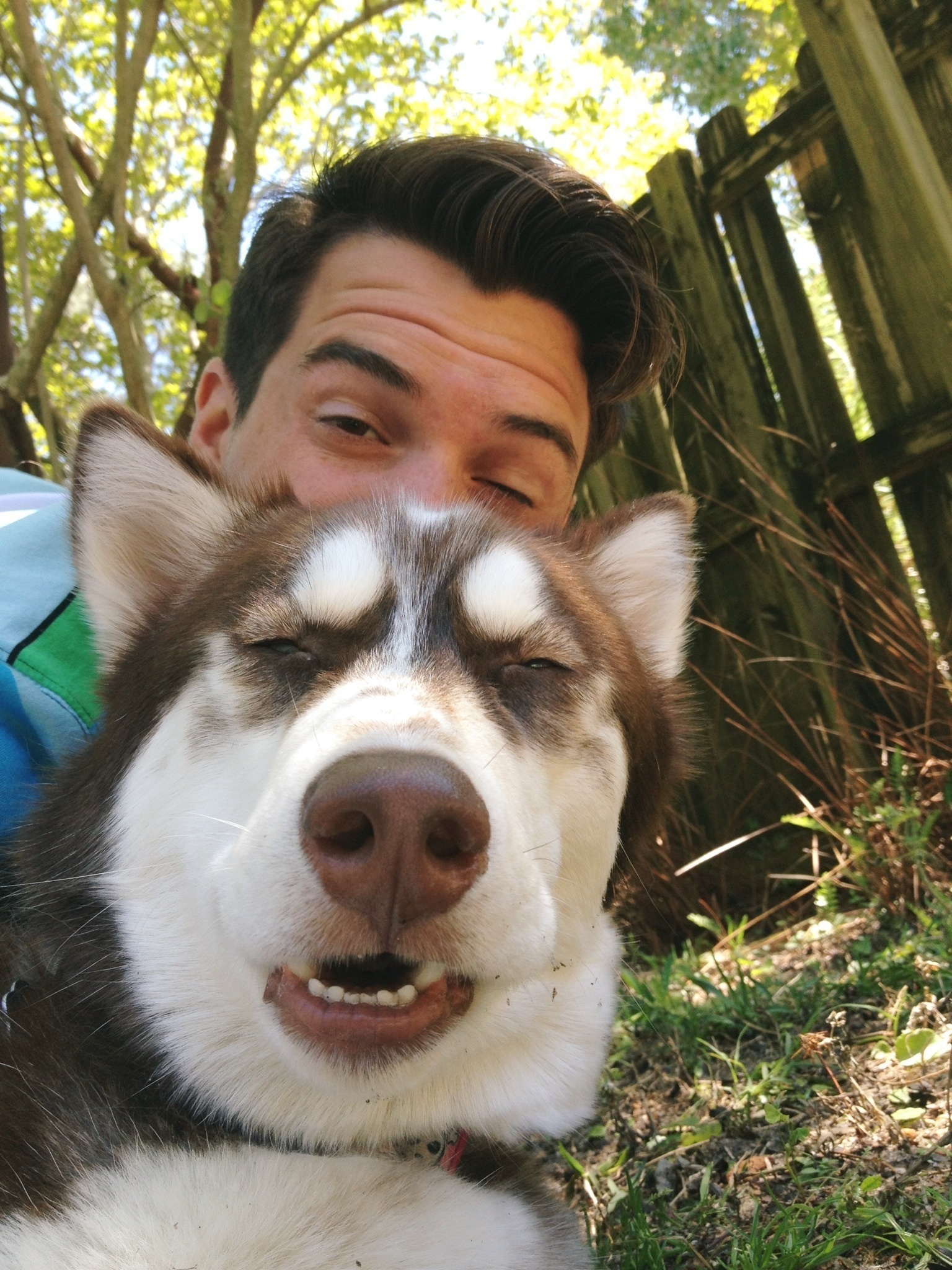 The dog who likes to look tough in his selfies.