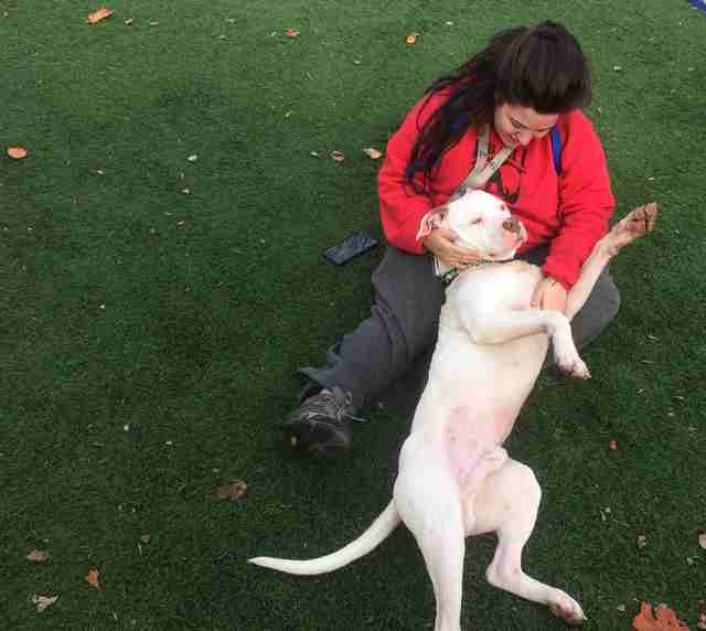 Dog who ran with coyotes relaxing at rescue center