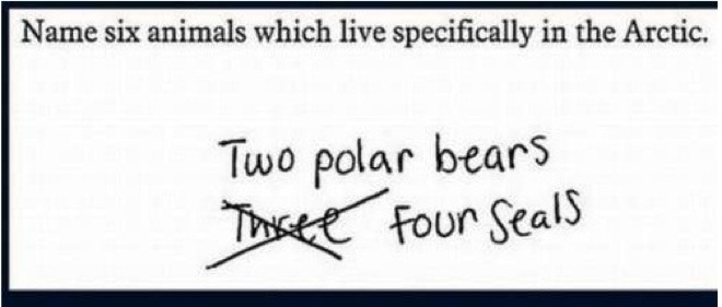 This Answer Is Technically Right