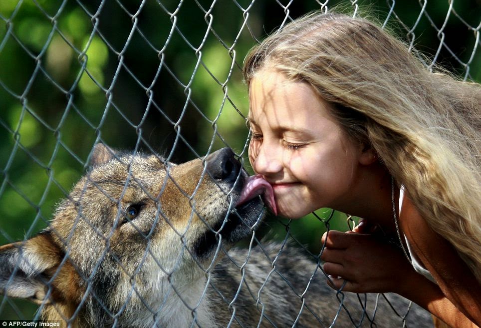 Image result for girl and wolf dog