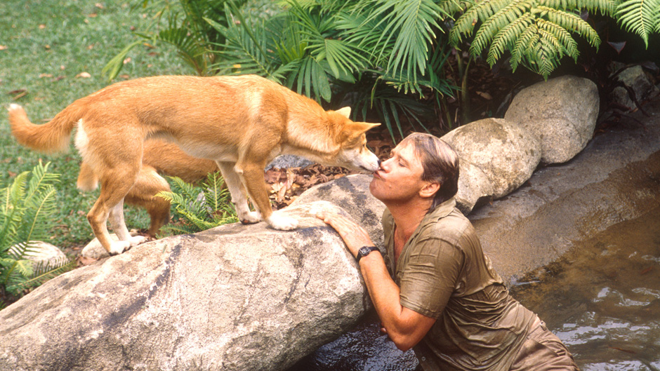 Image result for steve irwin