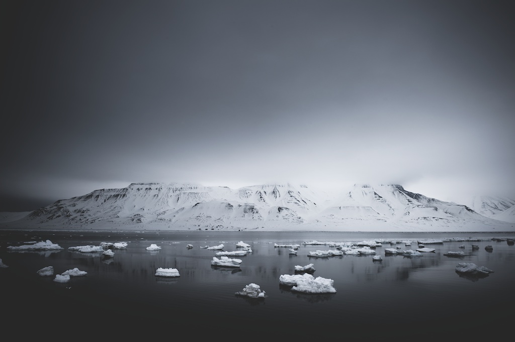 Image result for ice caps polar black white photo