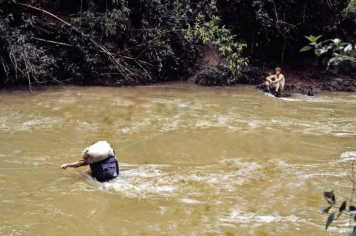 amazon jungle - backpackers