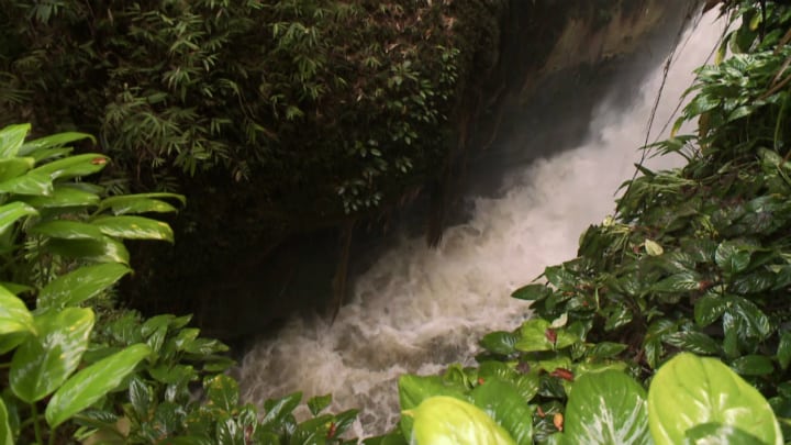 amazon jungle - waterfall