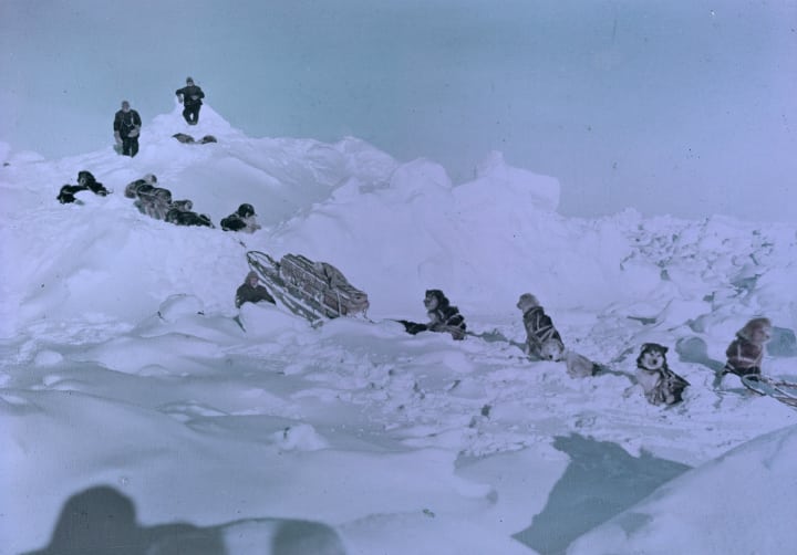 shackleton endurance expedition