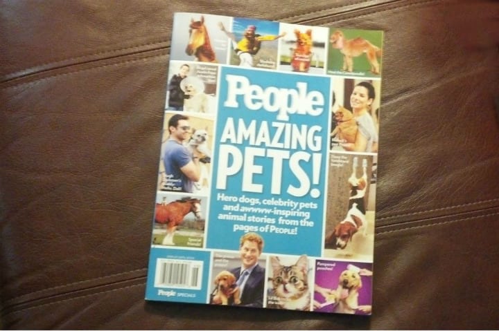 People Amazing Pests Magazine