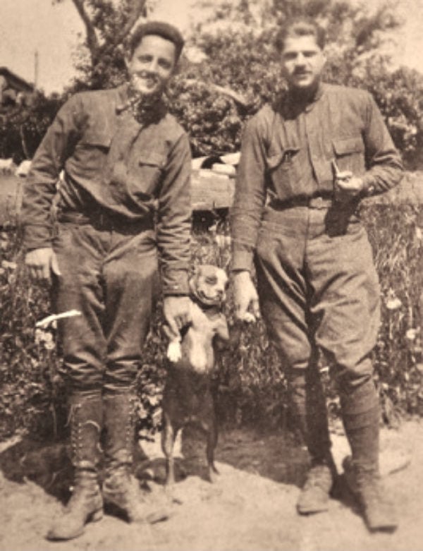 stubby dog friends soldiers american world war i