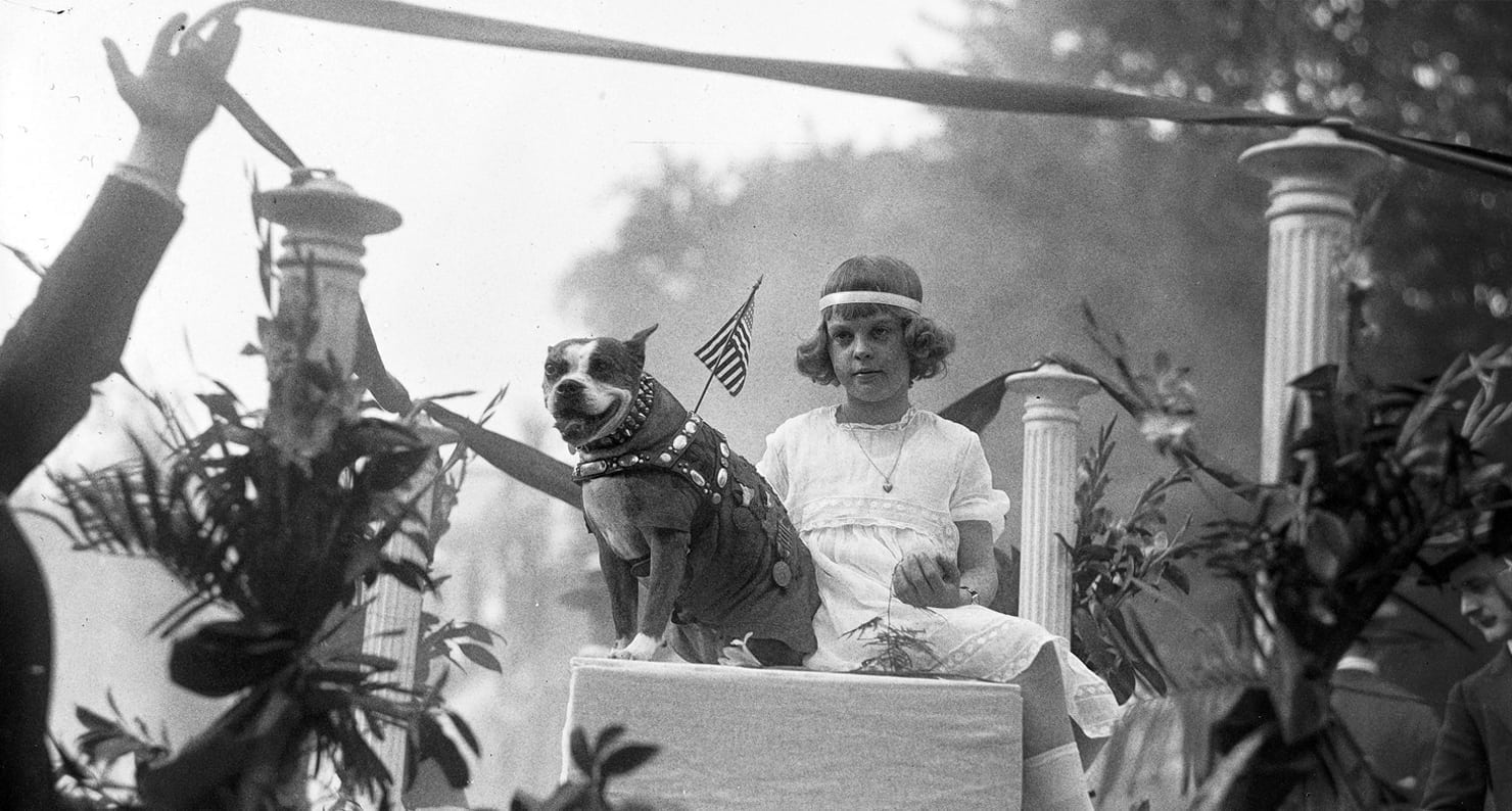 sergeant stubby louise johnson washington parade victory world war i dog