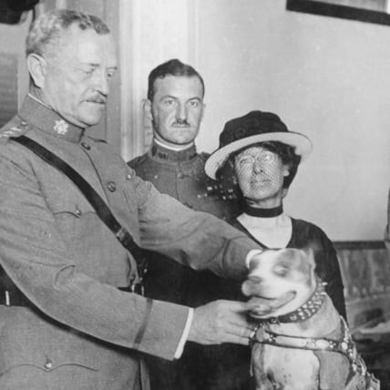 sergeant stubby john pershing woodrow wilson warren g harding calvin coolidge us presidents general war hero