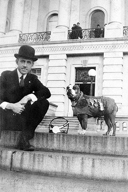 robert conroy sergeant stubby washington dc war hero world war i dog