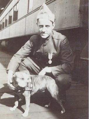 sergeant stubby france world war i robert conroy