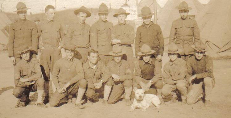 stubby dog yale us army world war i doughboys robert conroy