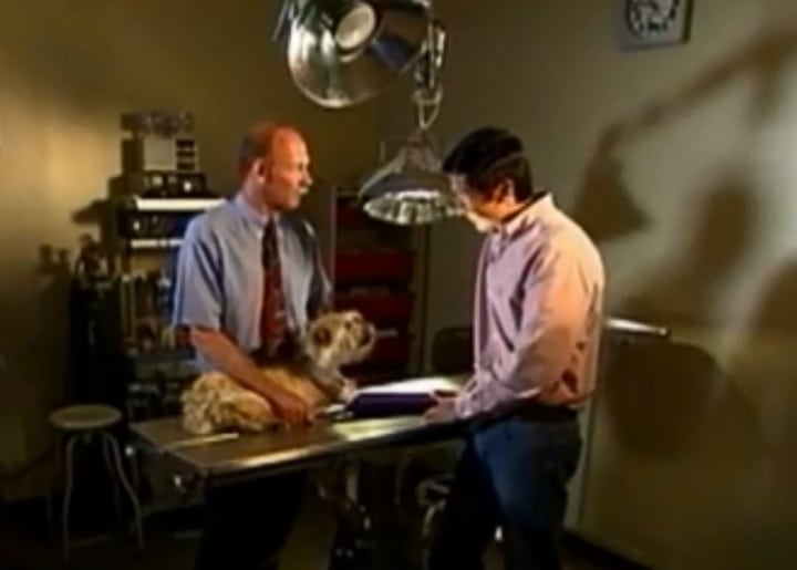 Dr. Lamb and Orthopedic Surgeon Examining Mason the Dog