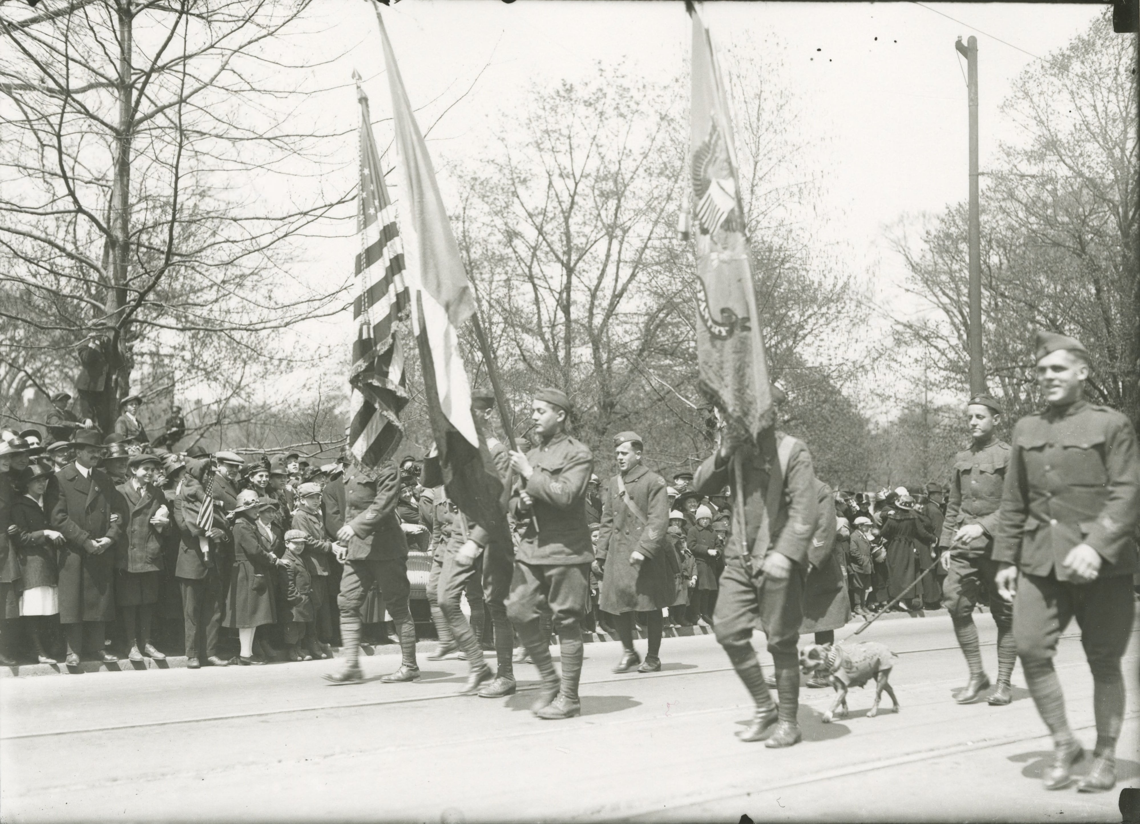 soldiers doughboys wwi americans sergeant stubby