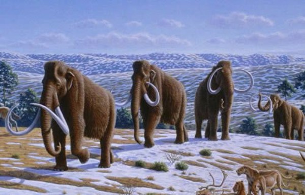 The Last Ice Age