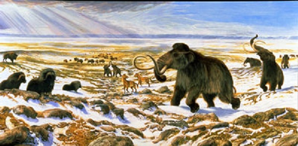 Woolly Mammoth Ancestors