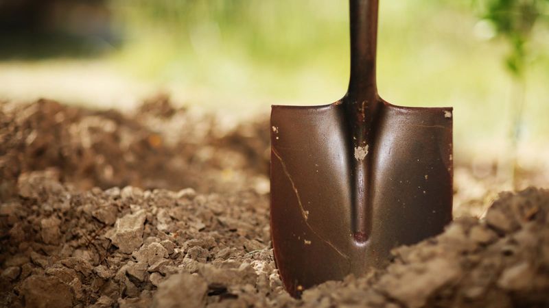 Image result for shovel dig