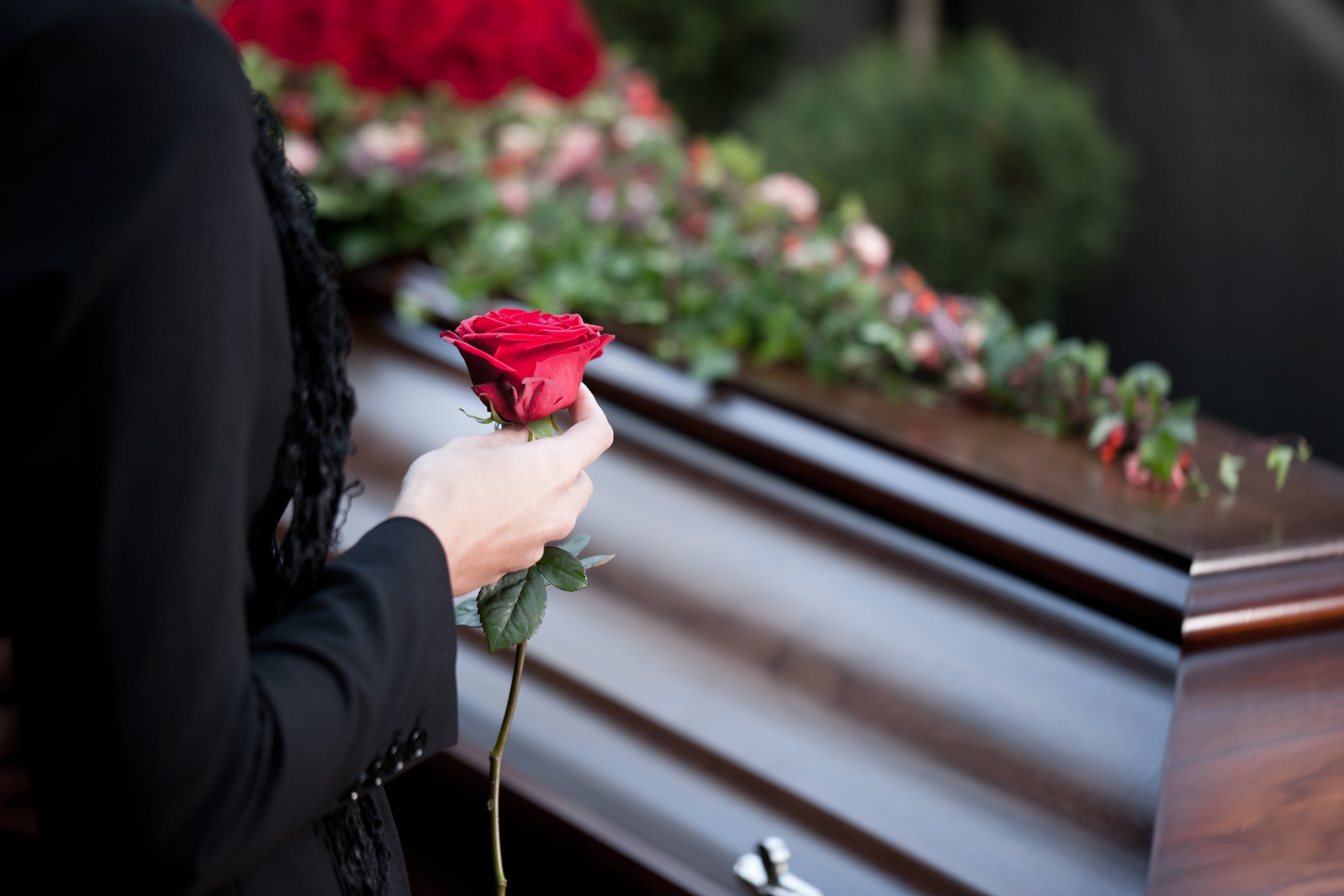 Image result for coffin rose