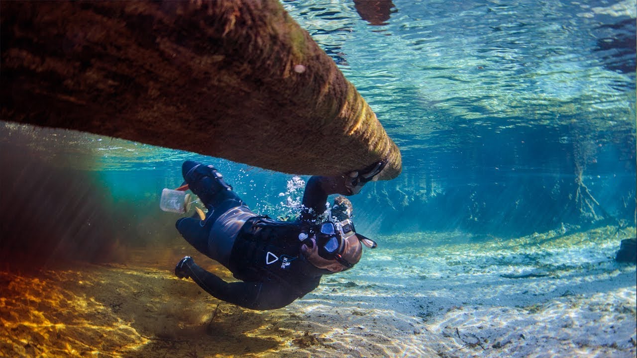 Image result for underwater treasure hunting