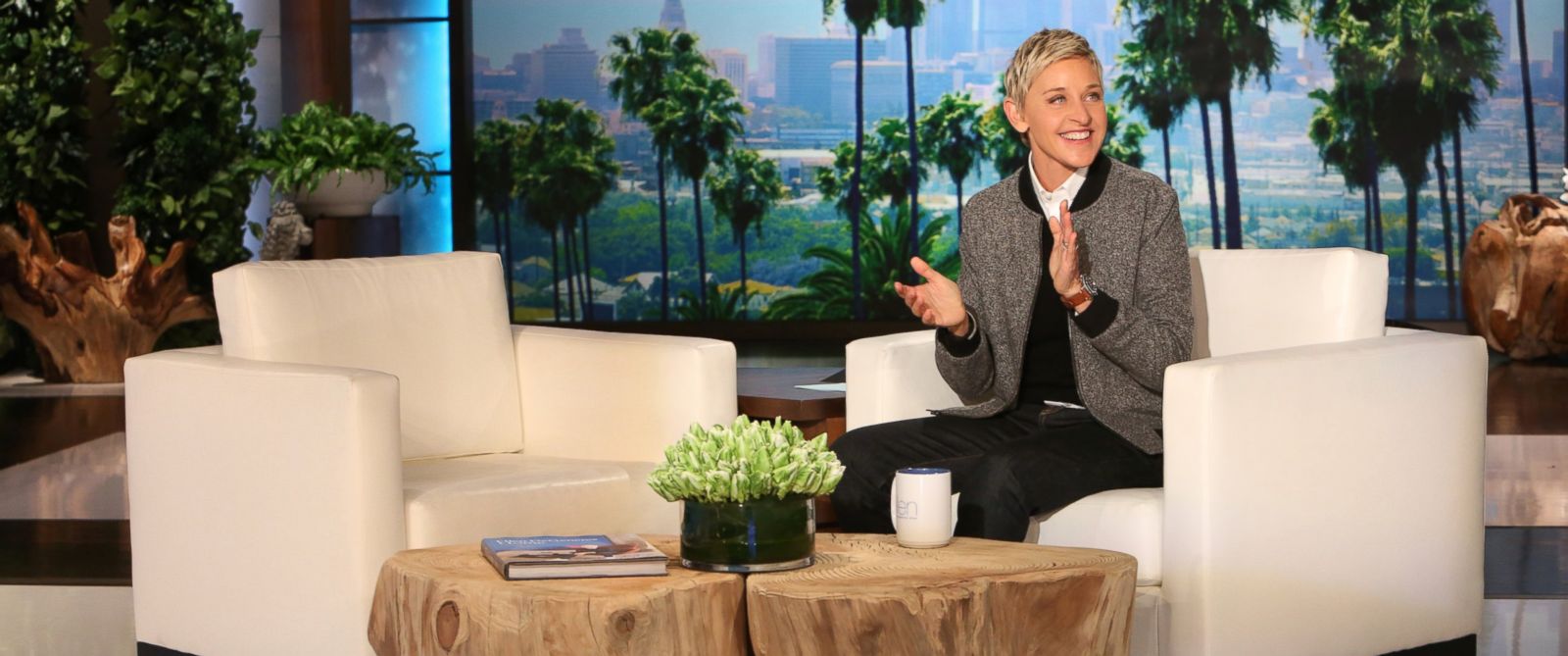 Image result for ellen host