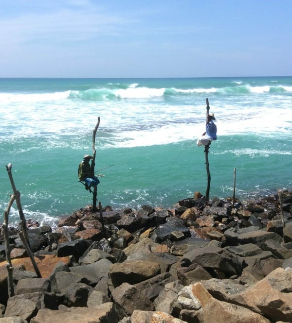 sri lanka fishing