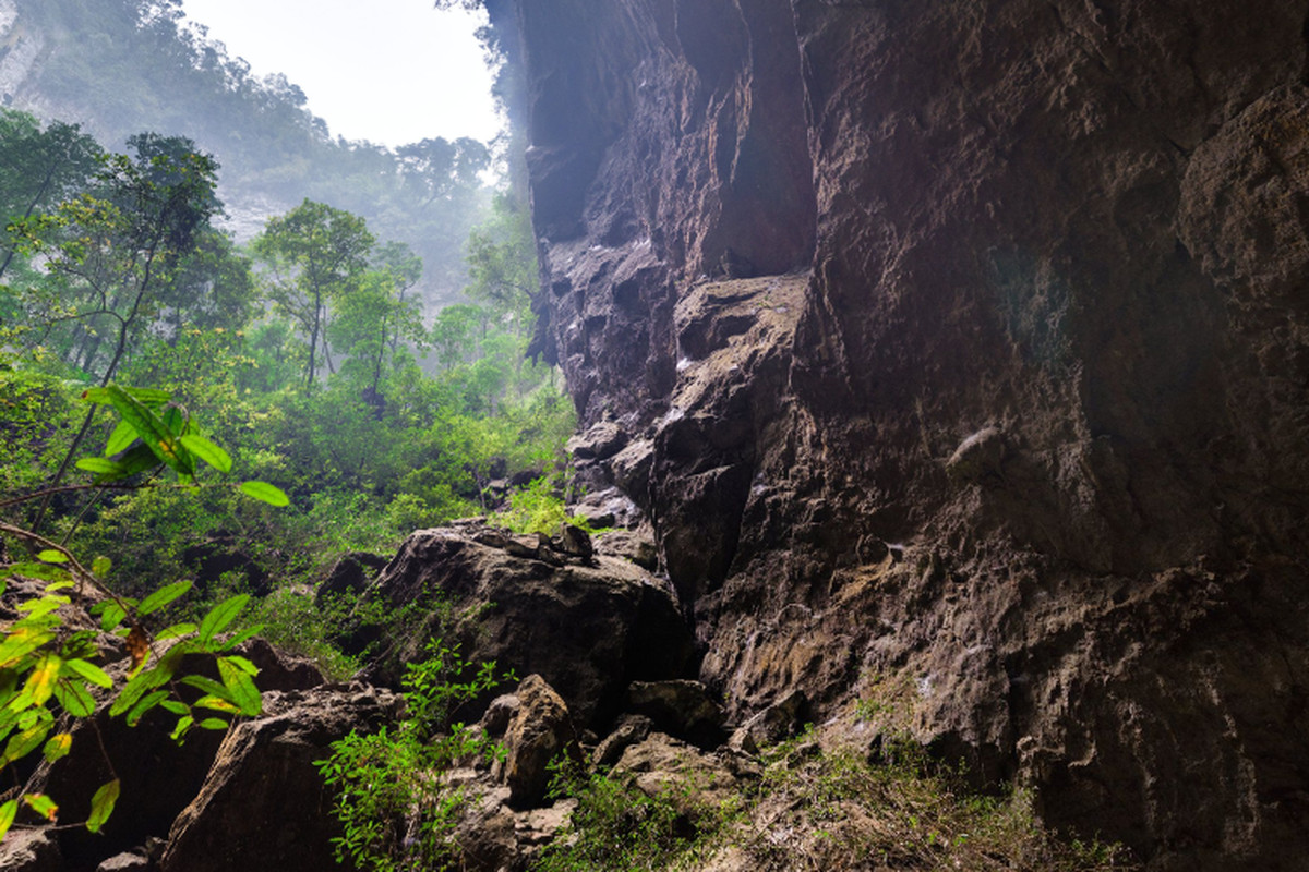 Image result for Son Doong