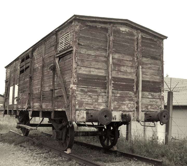 claire prowisor father daughter philippe szyper chaskel prowisor holocaust train belgium auschwitz jews