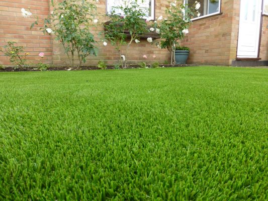 Image result for front yard grass