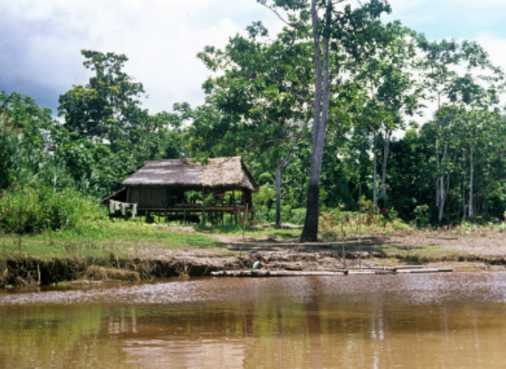 plane crash peru amazon hut