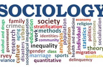 sociology jobs